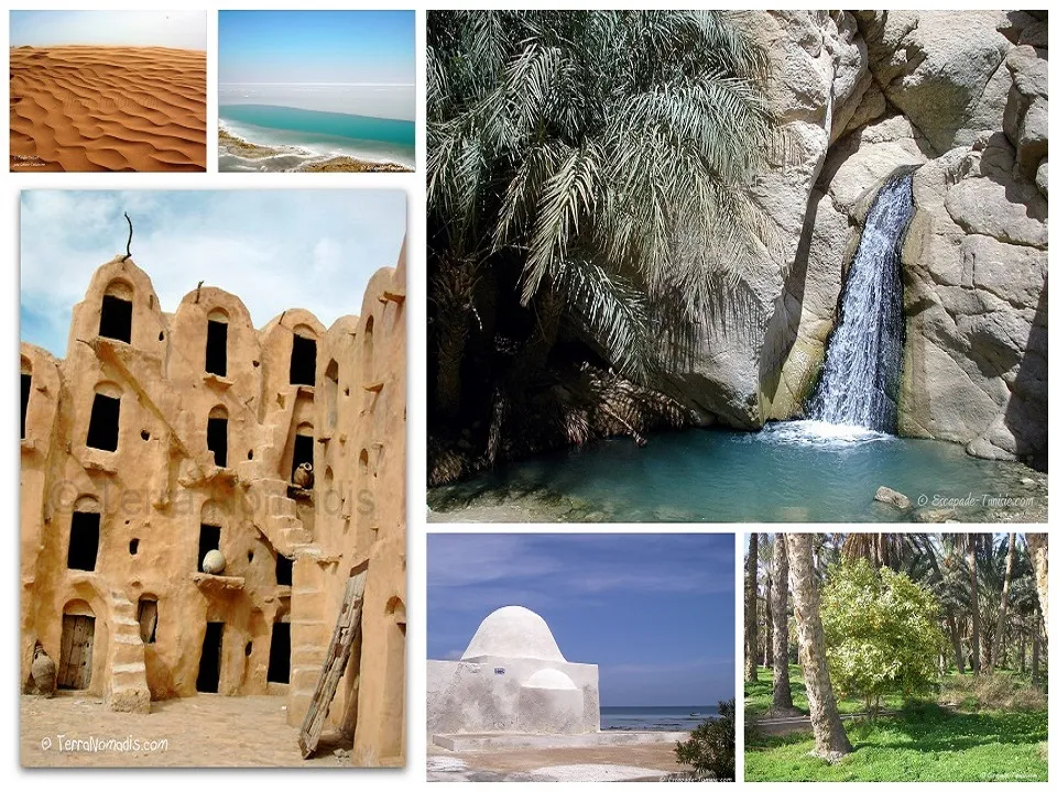 sud-tunisien_0.15522600-1741256529.webp